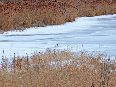 P1050880.JPG