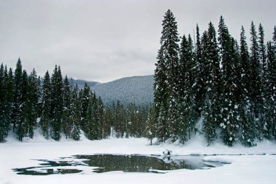 View from across Emerald Lake 1w1.jpg