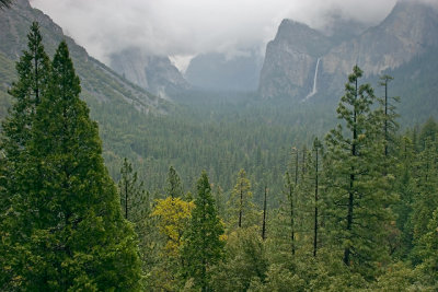 Yosemite-Tunnel View-Spring Fog1w.jpg