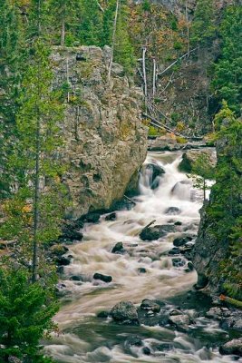 Firehole River 8416w.jpg