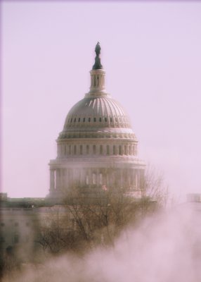 The Capitol Dome - Winter Day