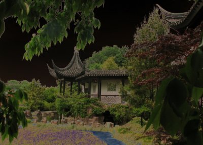 Snug Harbor & The Chinese Scholar's Garden