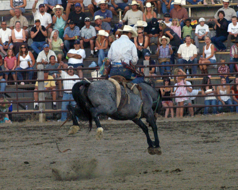 Hailey Rodeo