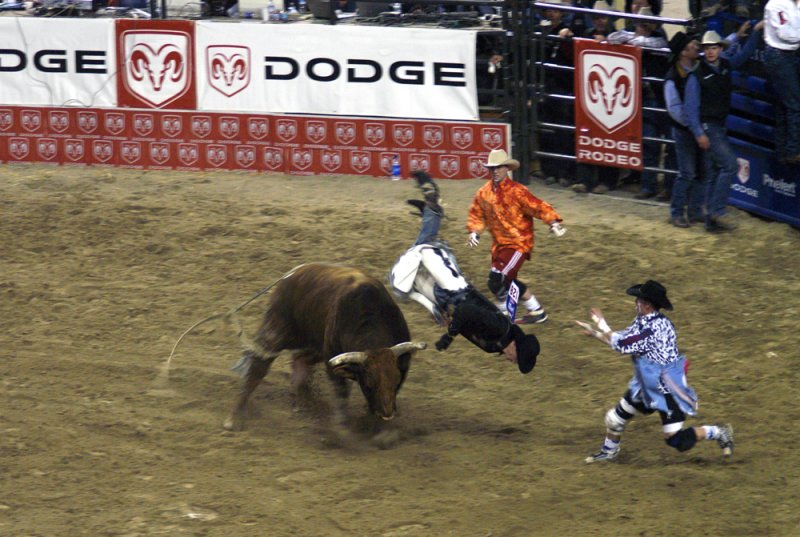 Rodeo