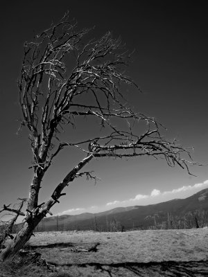 Mount Washburn