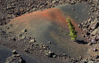 Within the Caldera