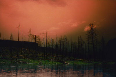 The Madison After the Fire of '88