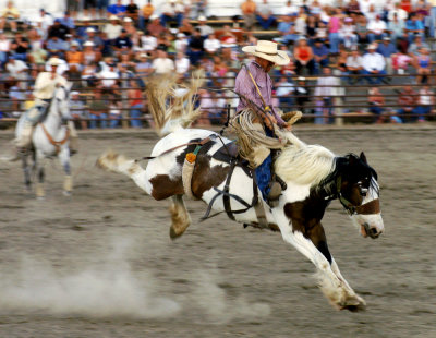 Hailey Rodeo