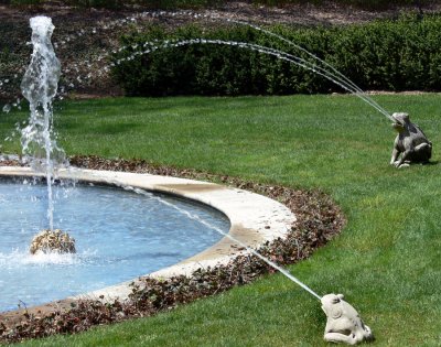 Frog Fountains.