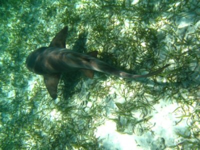 IMG_0722.JPG