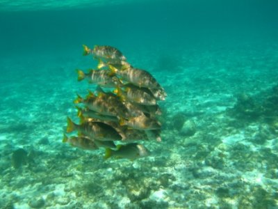 IMG_0742.JPG