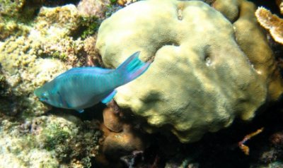IMG_0755.JPG