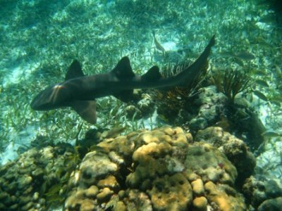 IMG_0764.JPG