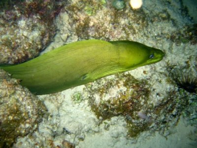 IMG_0800.JPG