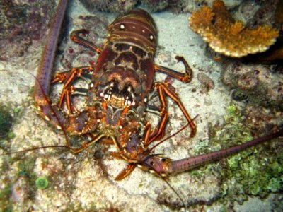 IMG_0815.JPG