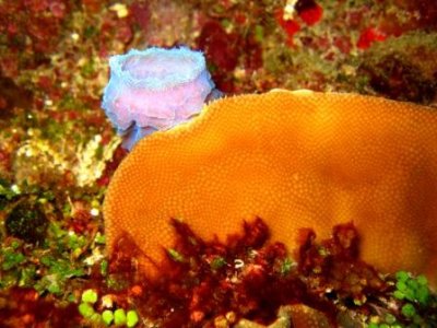 IMG_0848.JPG