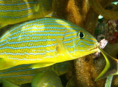 IMG_0896.JPG