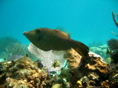 IMG_0900.JPG