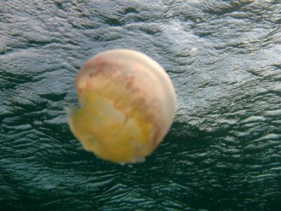 IMG_1097.JPG