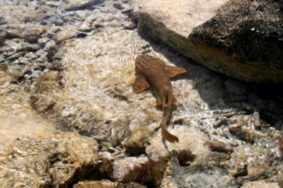Vance Belize 10_06 141.jpg
