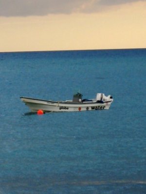 IMG_1377.JPG