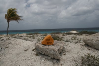 bonaire 042.jpg