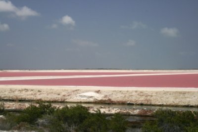 bonaire 058.jpg