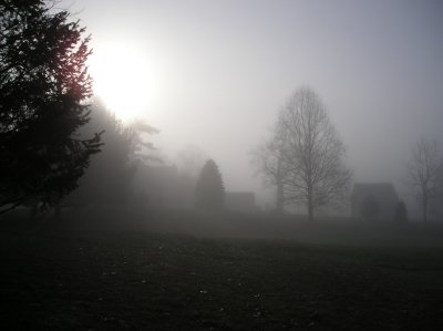 Birmingham Cemetary in the Fog