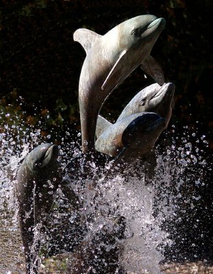 Dolphins Fountain