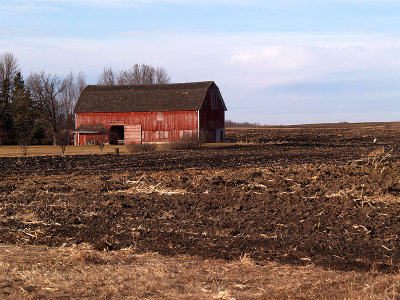 Little Red Barn