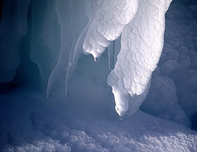 Sunlight Fighting the Cold