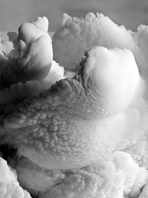 Old Man Winter Blowing at Your Back bw.jpg