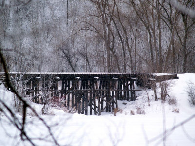 Winters Beauty11