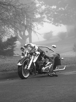 Indian In the Fog