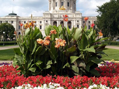 Capitol Flowers