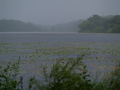 Misty Rain Over Snelling Lake