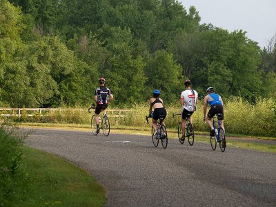 Cyclists In the State Park.