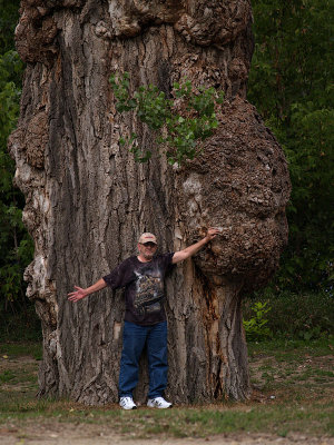 Marv and Huge Cottonwood 2 Zoomed.