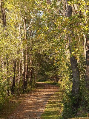 Early Fall Beginning Changes
