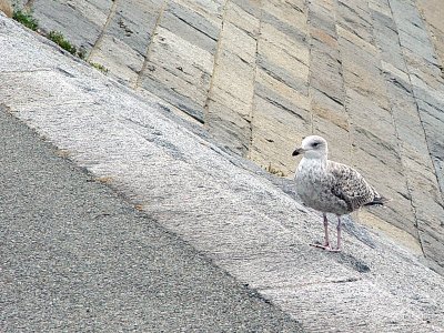 Landscapes_St Malo_26.jpg