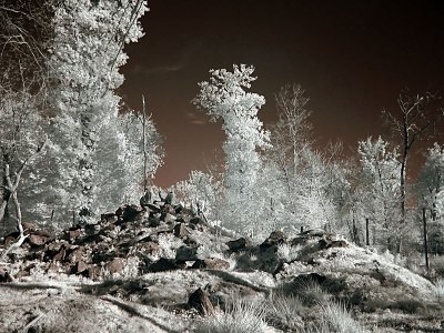 Infrarouge_infrared_World_132.jpg