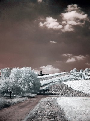 Infrarouge_infrared_World_77.jpg