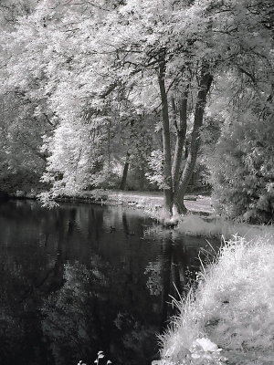 Infrarouge_infrared_World_15.jpg