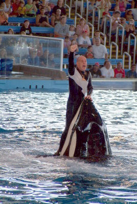 Believe / Shamu Show
