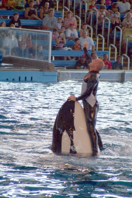 Believe / Shamu Show