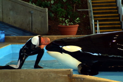 Believe / Shamu Show