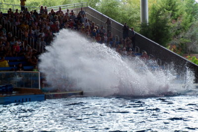 Believe / Shamu Show  - Time to Get Wet !!
