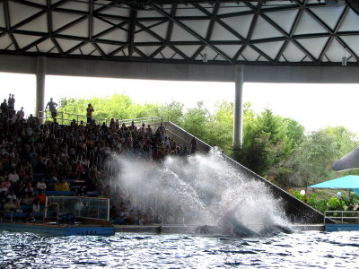 Believe / Shamu Show  - Time to Get Wet !!