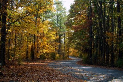 Country Road Leading to Lake Wylie