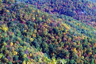 Autums Colors from Caesars Head State Park